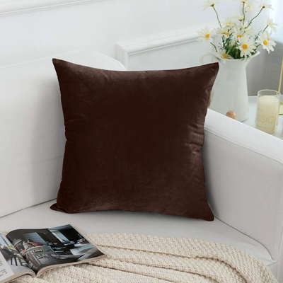 Brown Velvet Cushion Cover & Cushion Fillers Pad