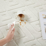 Modern Geometric Tufted Non-Slip High-Low Pattern Rugs