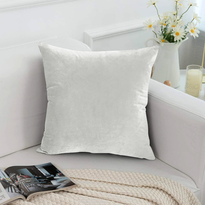White Velvet Cushion Cover & Cushion Fillers Pad