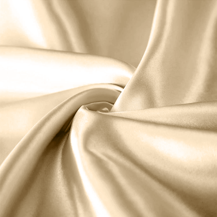 Satin Silk Pillowcases Pair Champion